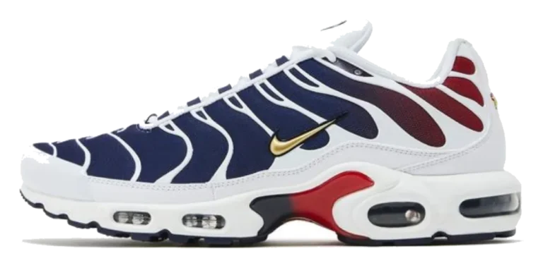 Nike Air Max Plus (PSG)