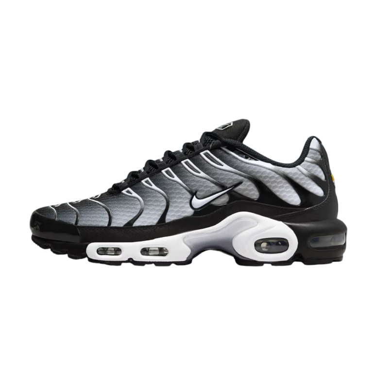 Nike TN (Metallic Silver)